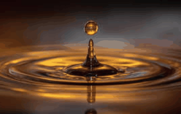 Lubricating oils and greases trading service